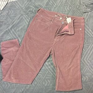 Pink velveteen corduroy pants